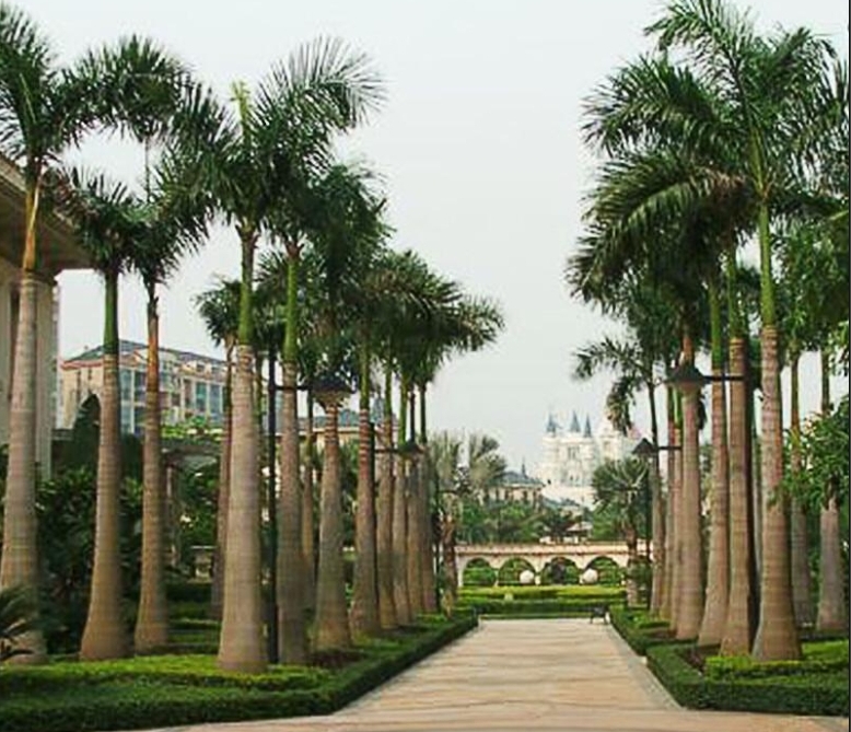 微信截图_20250617164143.png