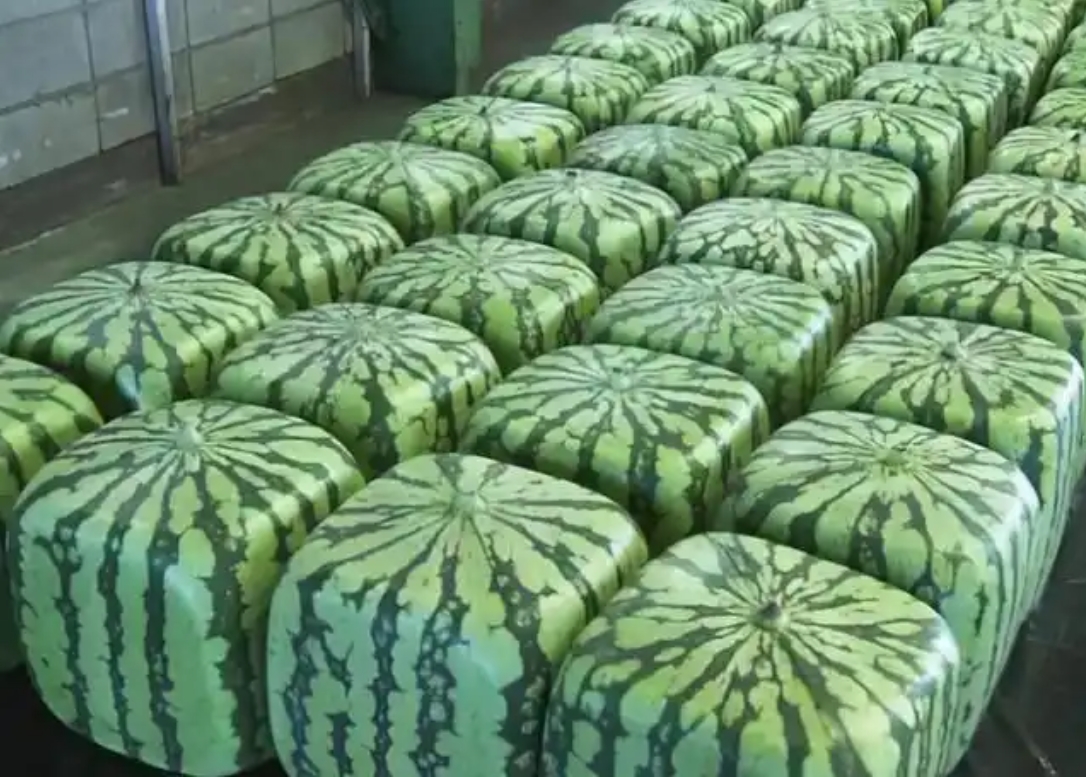 微信截图_20250703140706.png
